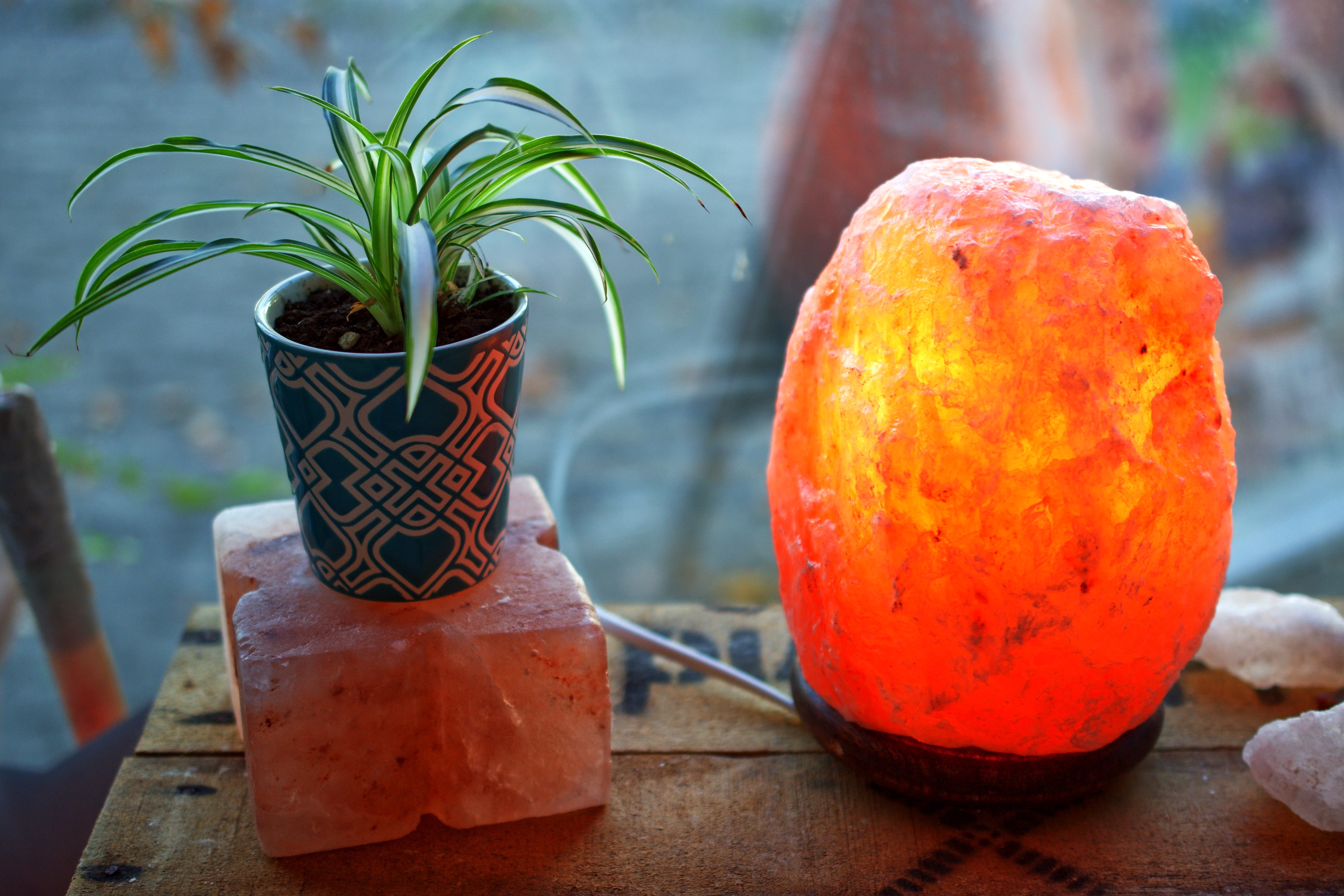 AdobeStock_222623940.jpeg